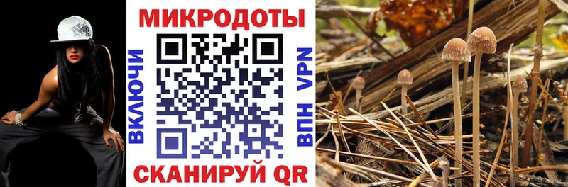 Купить где  Макушино  Галлюциногенные грибы Psilocybine cubensis 