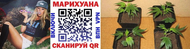 Купить  Макушино  Шишки марихуана ГИДРОПОН 
